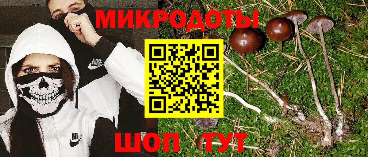 Псилоцибиновые грибы Psilocybine cubensis Еманжелинск