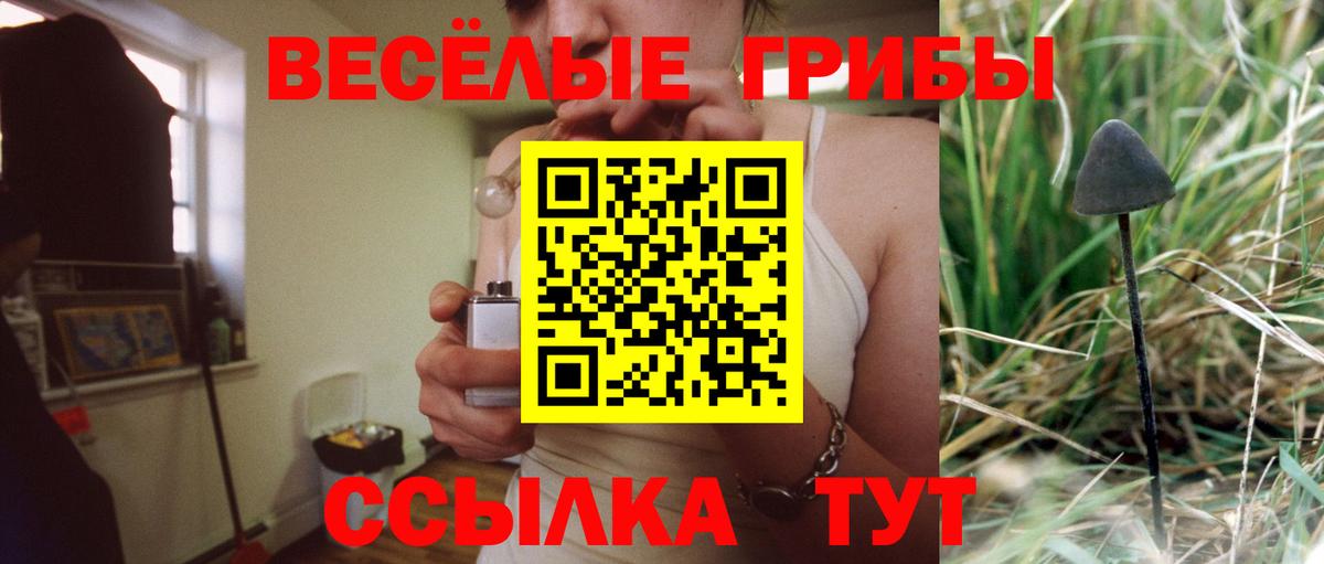закладки  Вход с VPN  Еманжелинск  Галлюциногенные грибы Psilocybine cubensis 